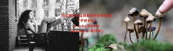 мяу мяу кристалл Богородицк