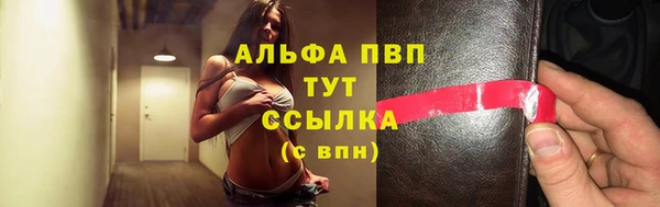 ешки Богданович