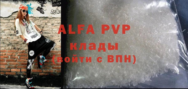 ешки Богданович